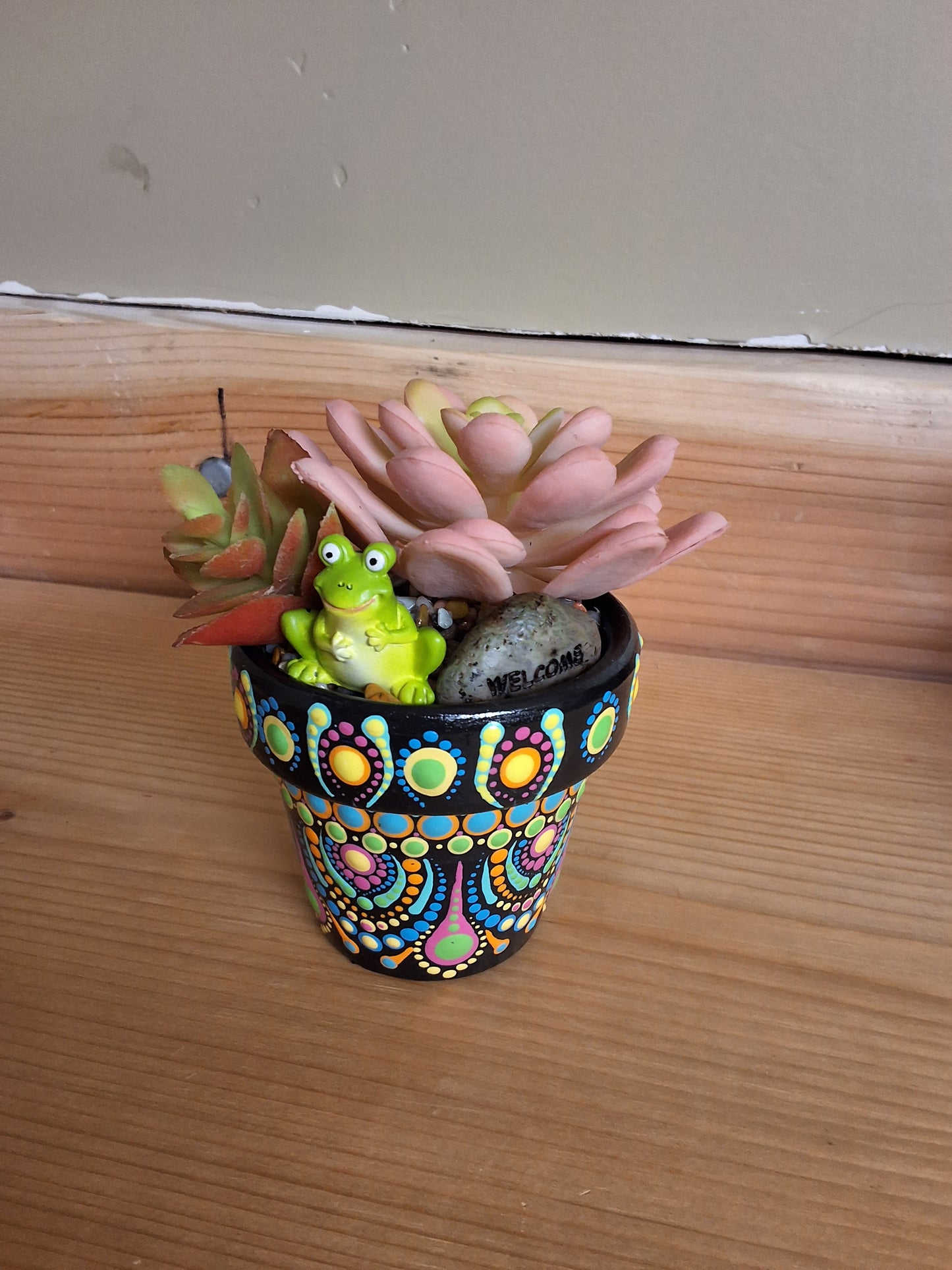 Rainbow Frog Pot